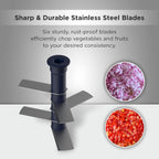 Butterfly Premium Vegetable Chopper 900 Ml, Blue